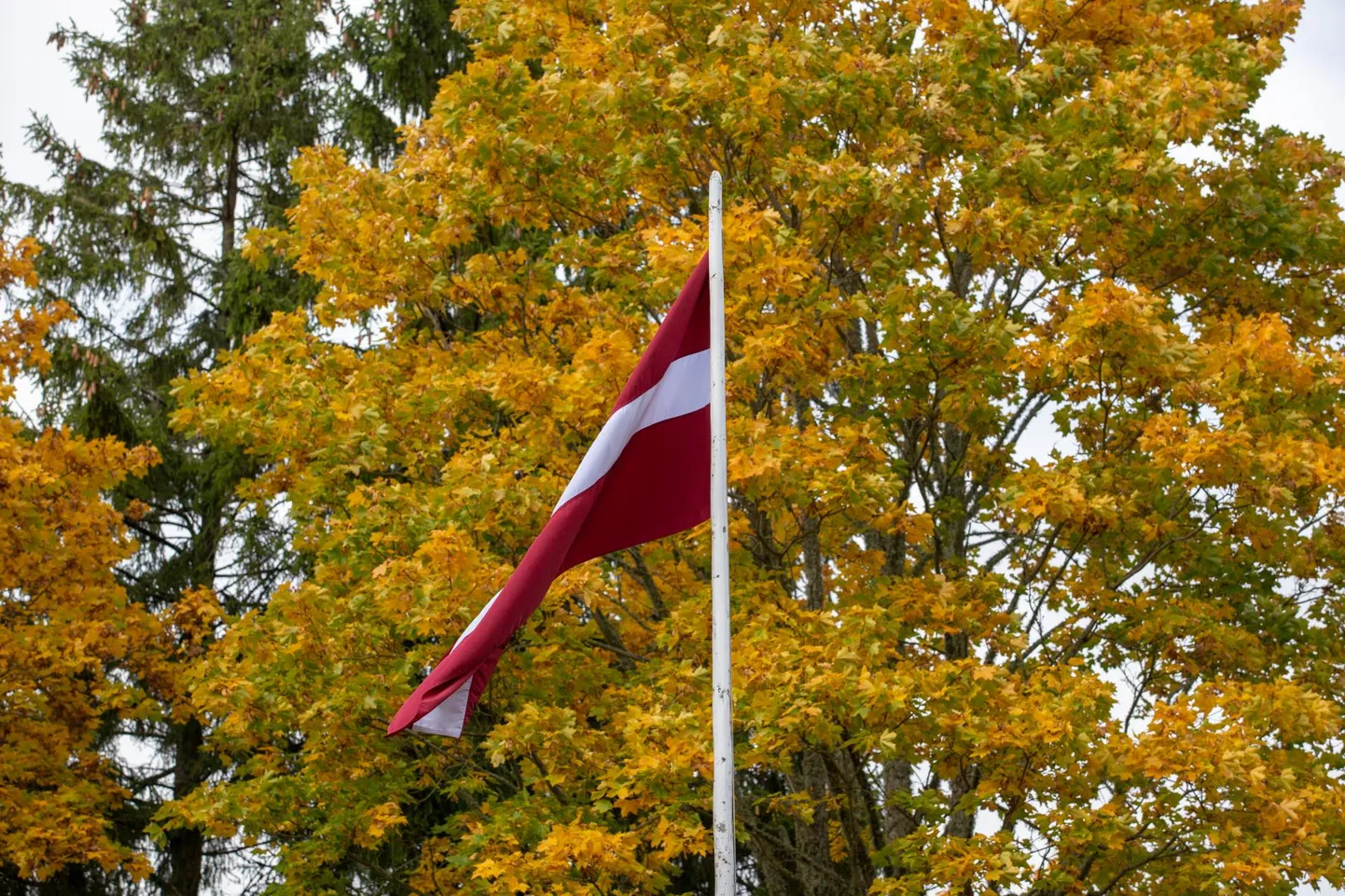 Mõisaküla piiripunkt.