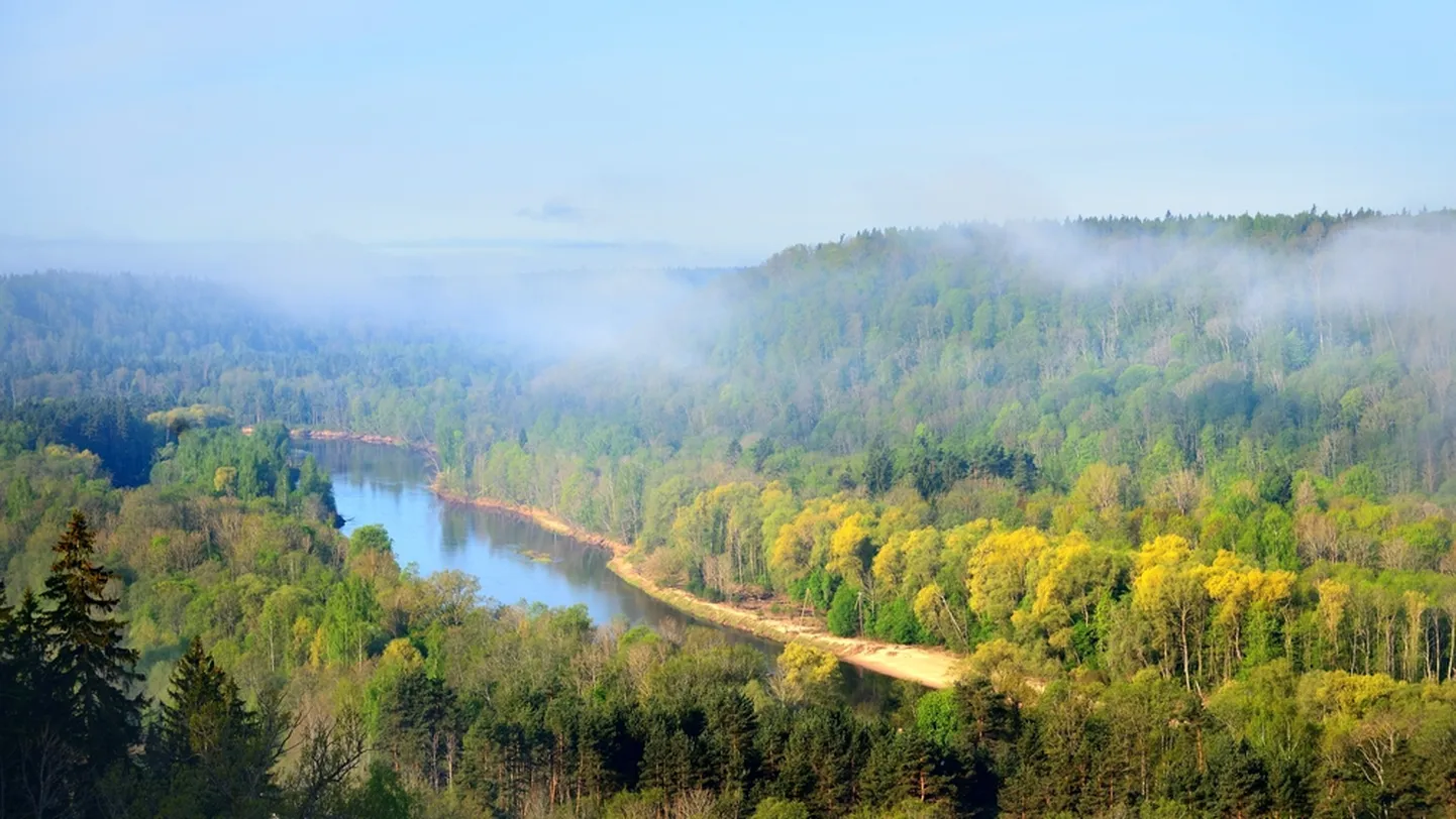 Gauja. Ilustratīvs attēls.