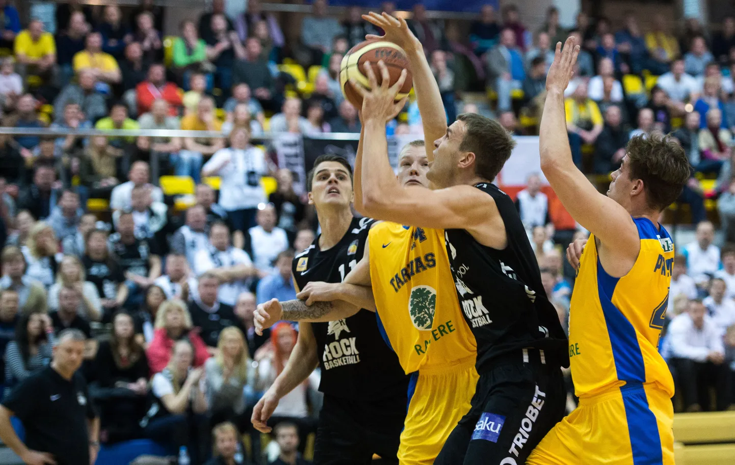 Rakvere Tarvas - Tartu Rock