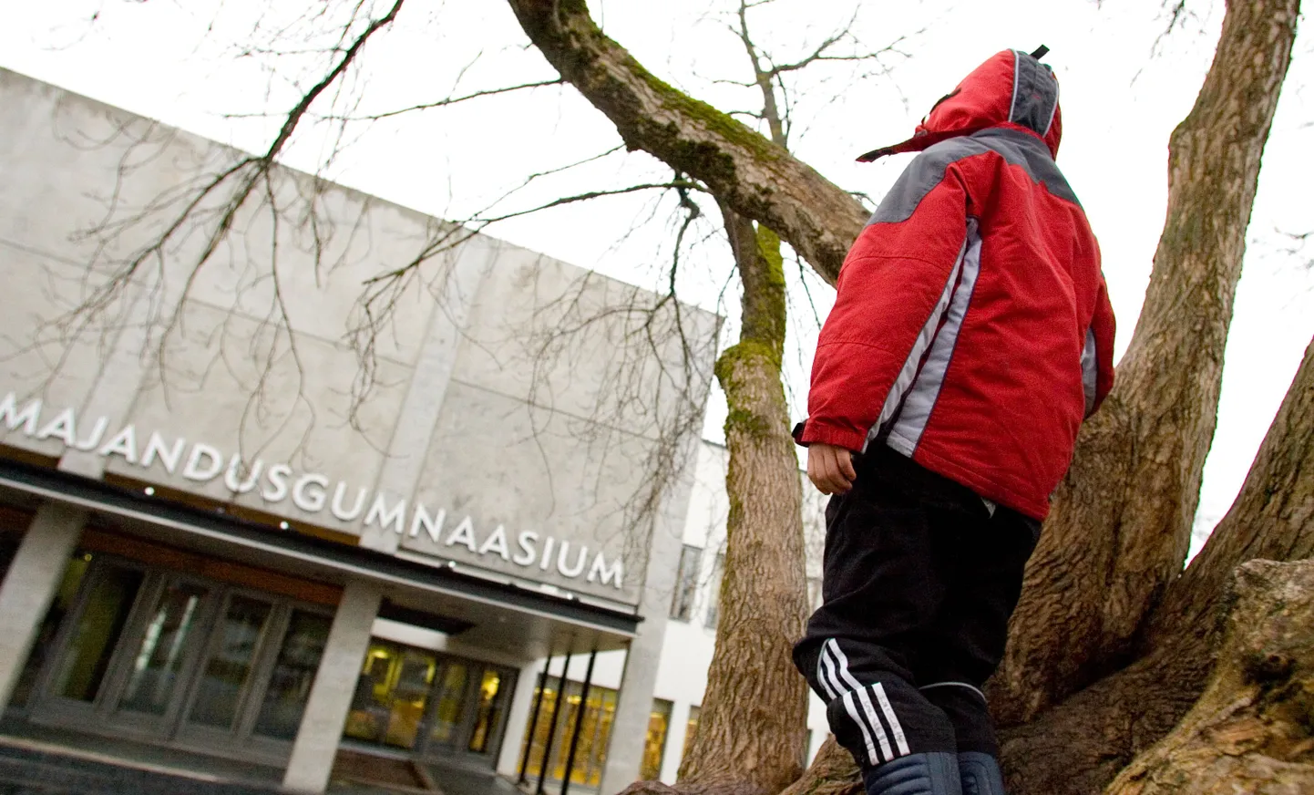 Pirita majandusgümnaasium