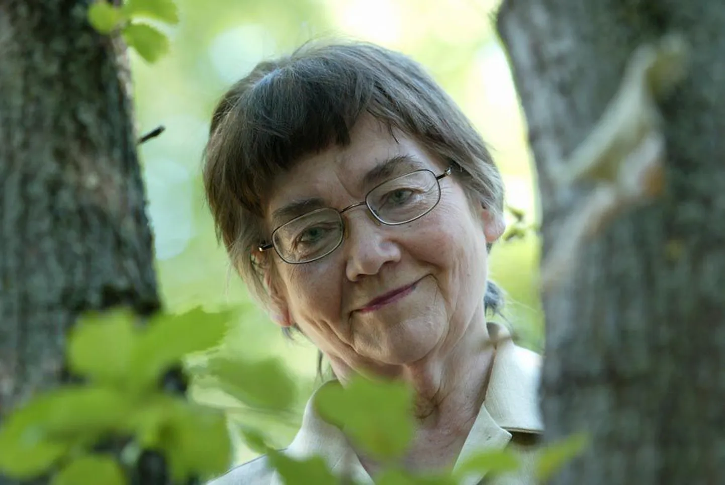 Aili Paju