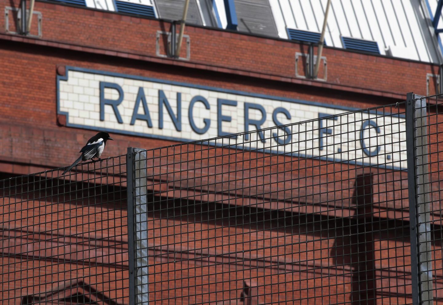 Rangers istaadion.