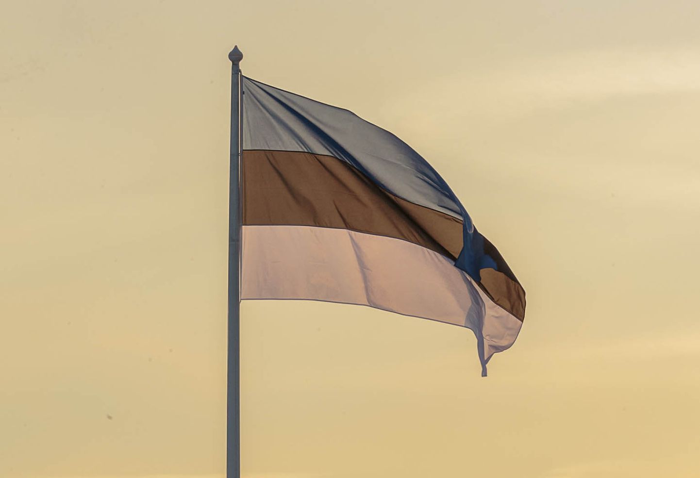 Государственный флаг Эстонской Республики.