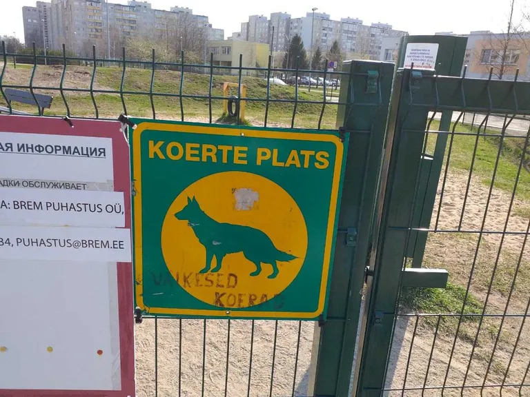 Фото статьи