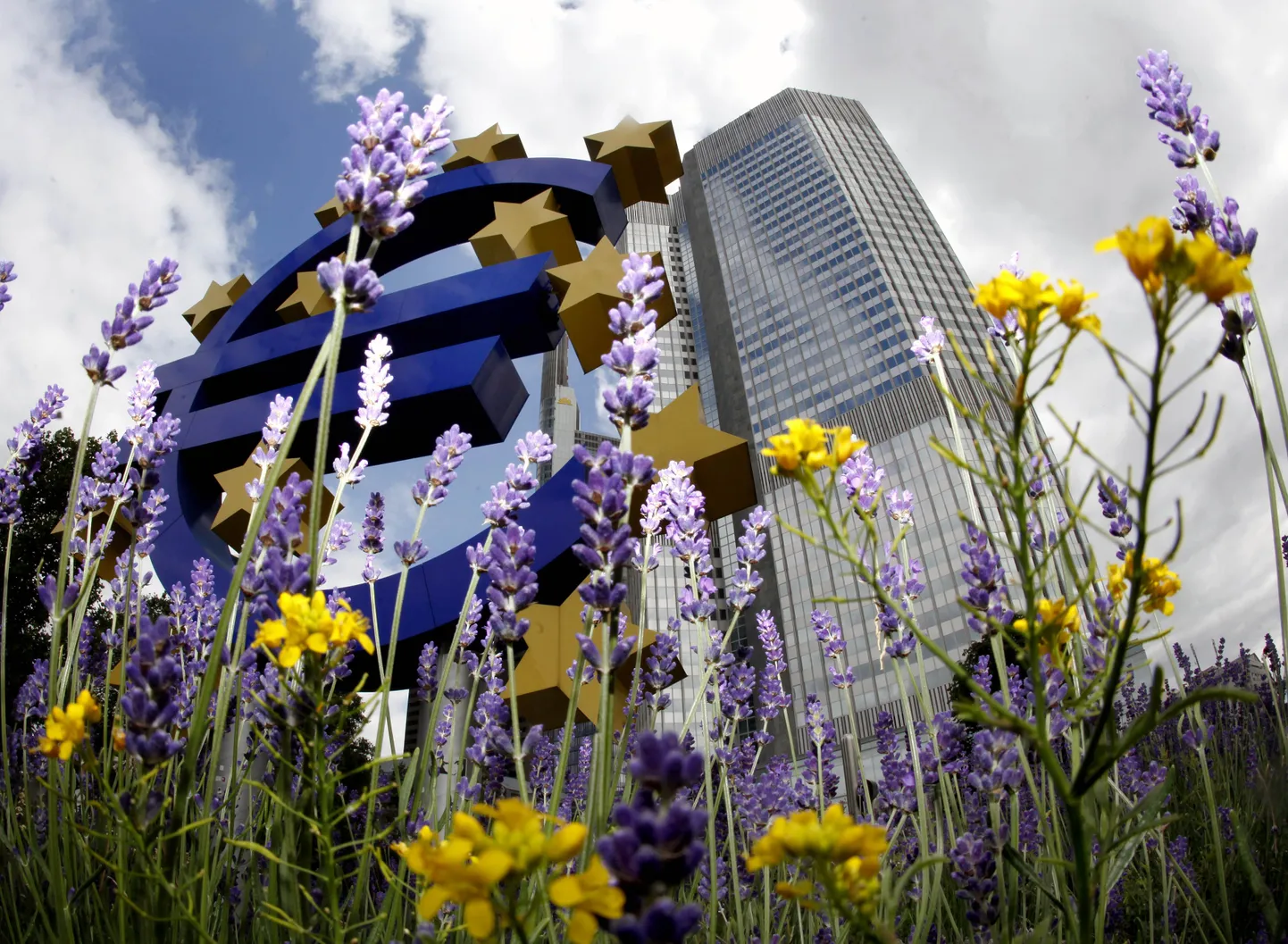 Euroopa ühisraha euro kujutis Euroopa Keskpanga peahoone ees Frankfurdis.
