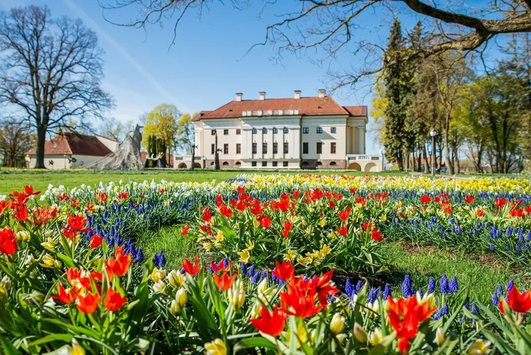 Raksta foto