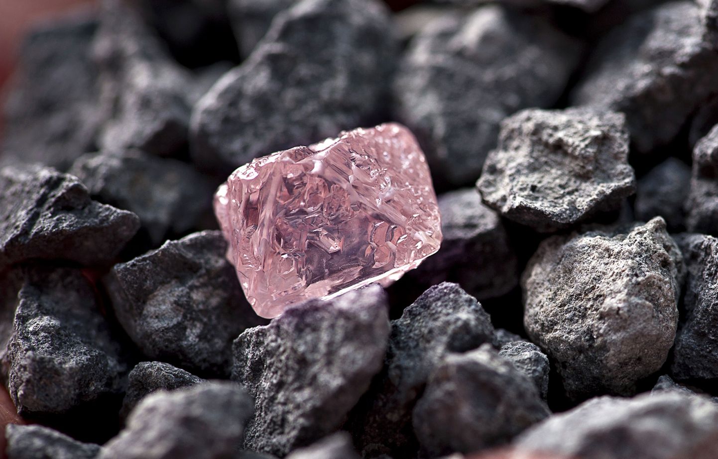 12,76  karaati kaaluv roosa teemant, mis leiti Argyle kaevandusest 2012. aastal.