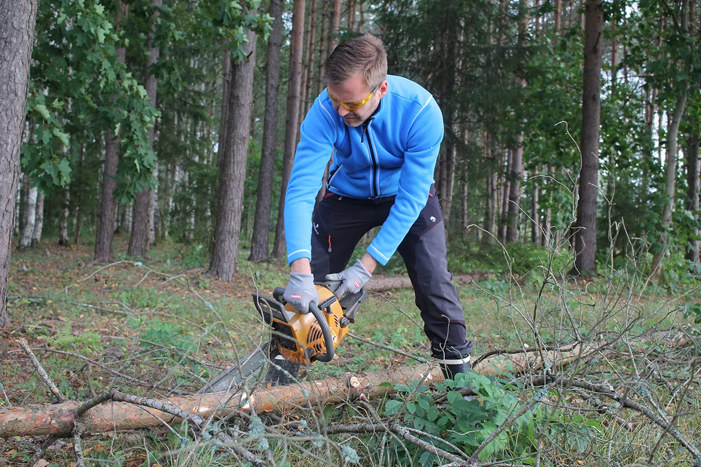 Eesti ettevõtlus- ja infotehnoloogiaminister Rene Tammist märkis, et Eesti ja Läti seisavad sarnaste probleemide ees, milleks on vananev elanikkond ja kvalifitseeritud tööjõu puudus.