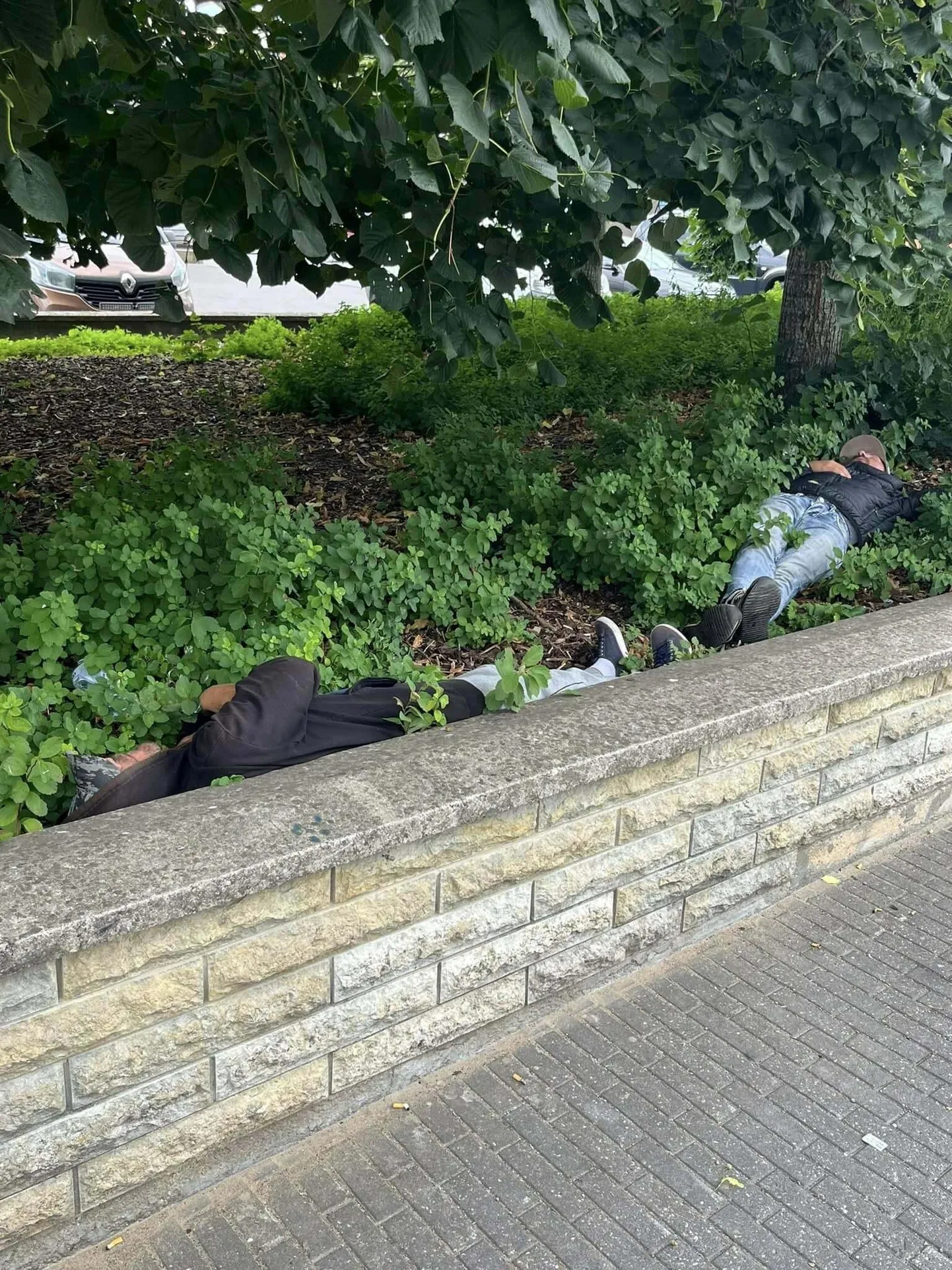 Napsulembesed mehed ja alkoholi tarvitavad alaealised kipuvad Rakvere promenaadil võimutsema. Aastaks ja viieks kuuks vangi saadetud Aleksandr H. andis enda ostetud alkoholi alaealistele üle samuti promenaadil.