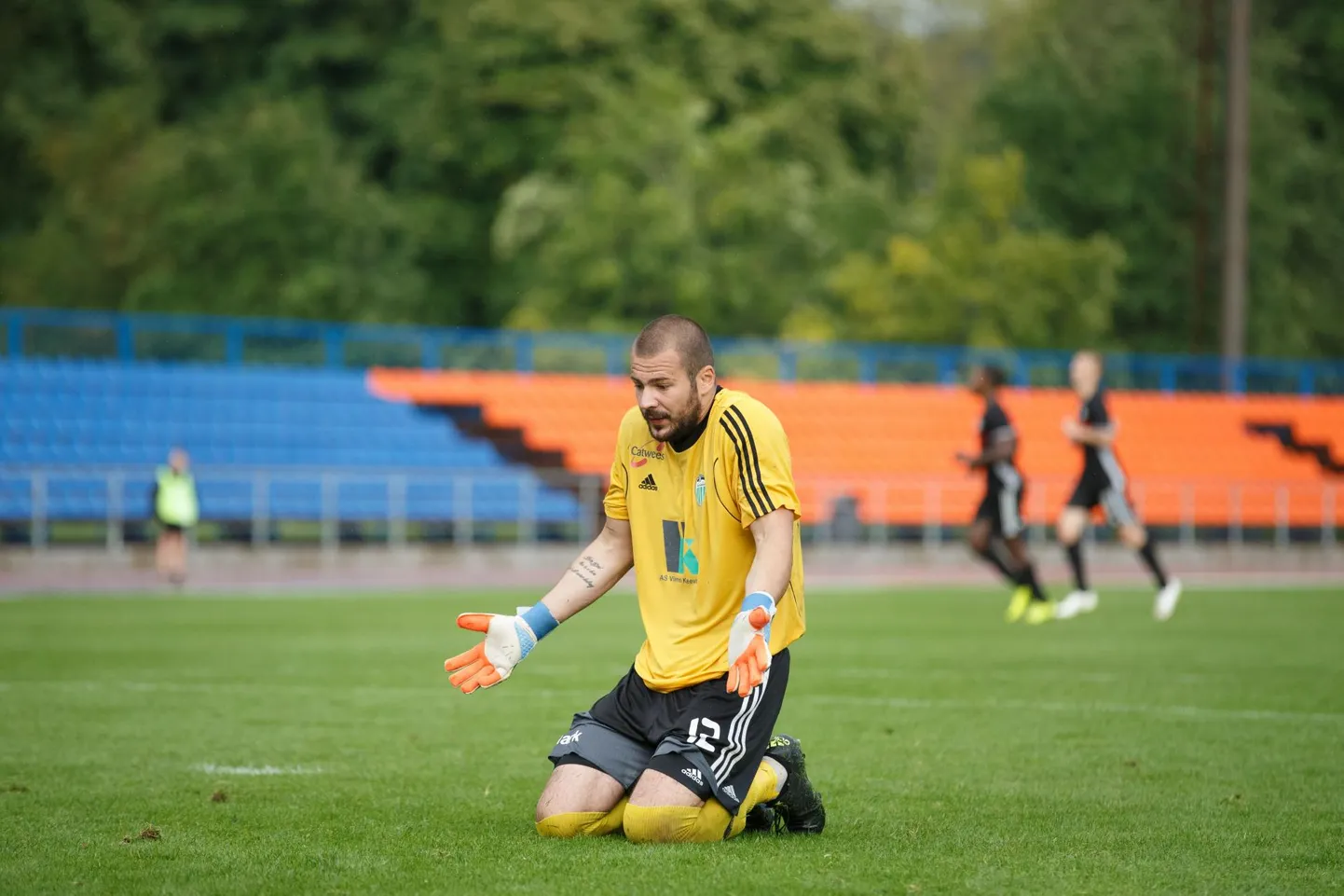 Sergei Lepmets