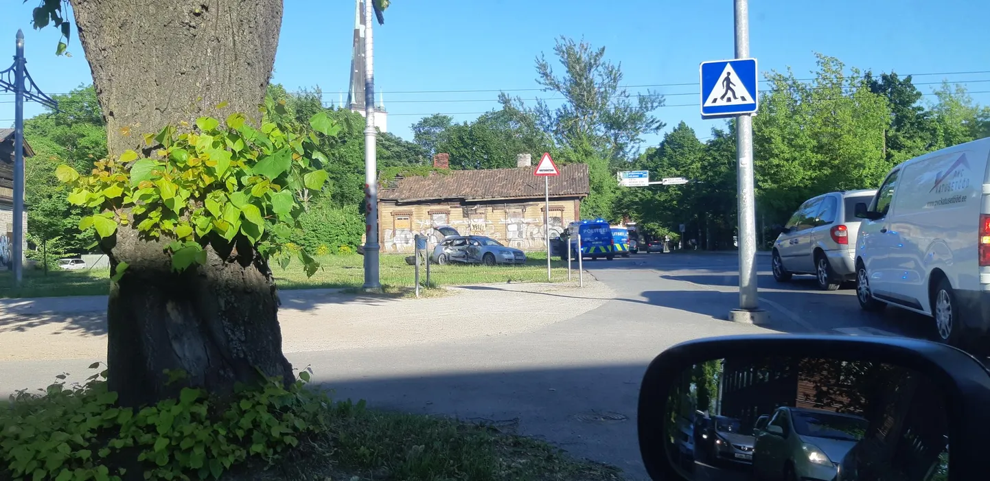 Фото статьи