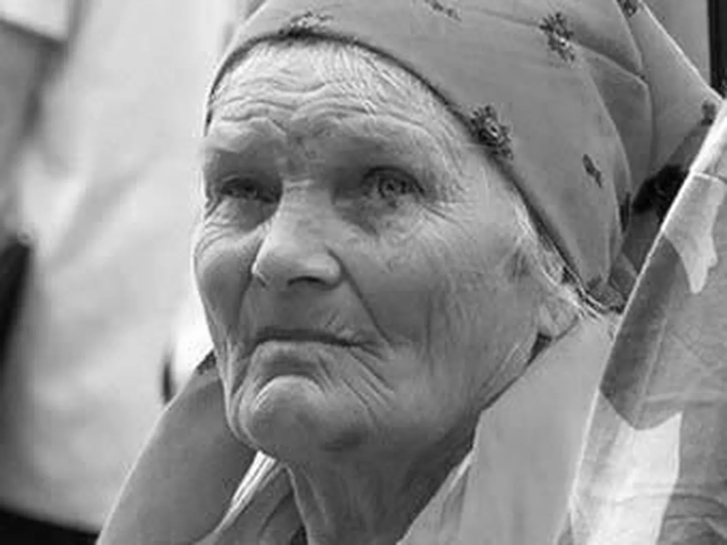 Фото статьи