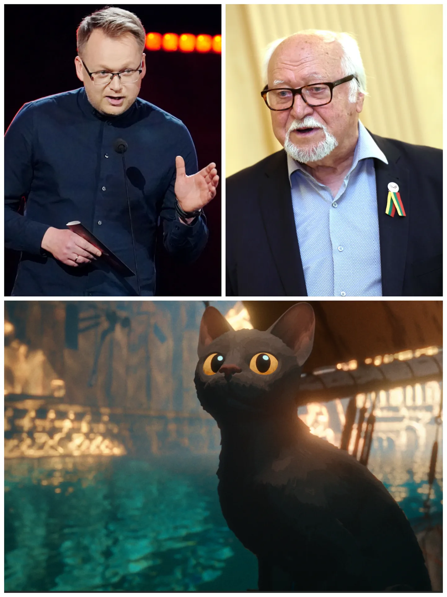 Raksta foto