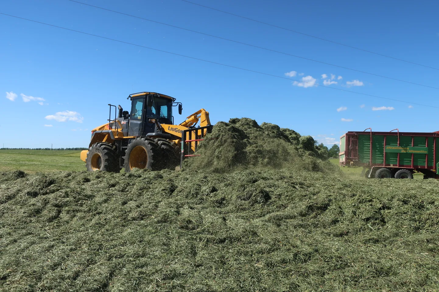 Metstaguse Agro kasutab tänavusel siloteol tipptasemel tehnikat, pildil tallab topeltratastega frontaallaadur silo otse rohumaal.