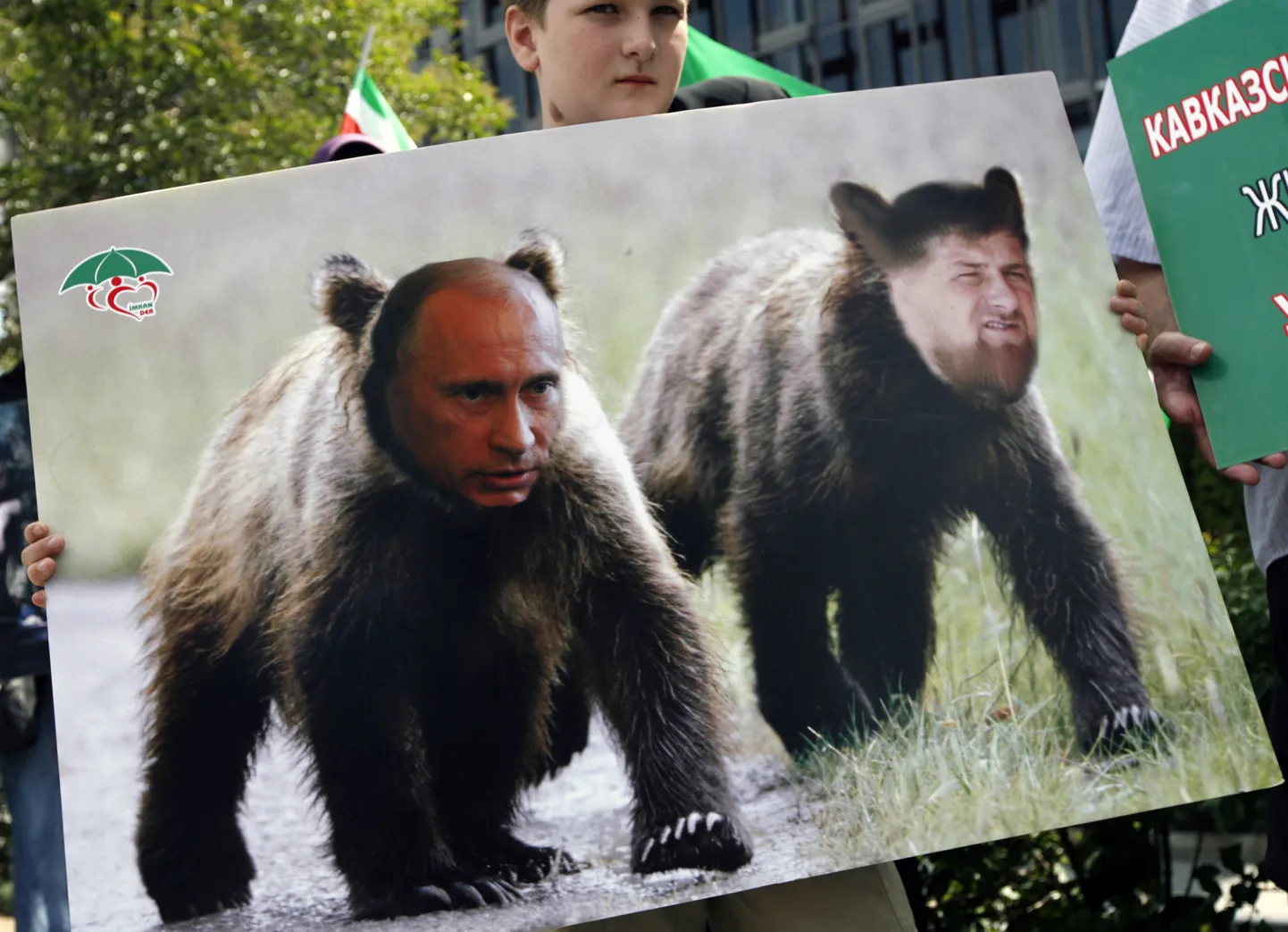 Raksta foto