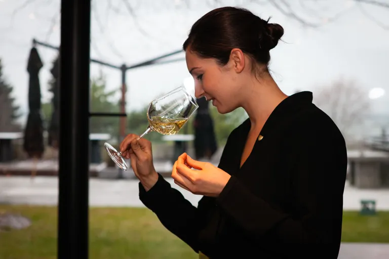 Dom Pérignoni śampanjasaadik Justine Proy ja Dom Pérignon 2006.