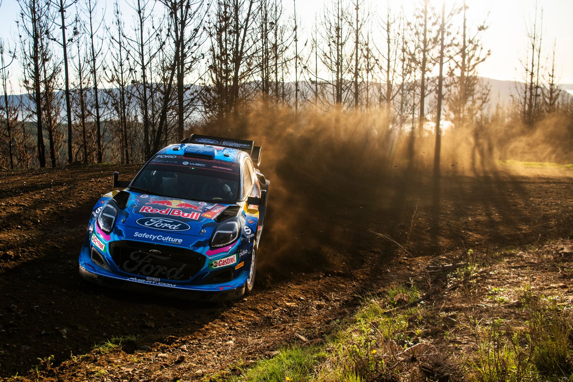 Ott Tänak.