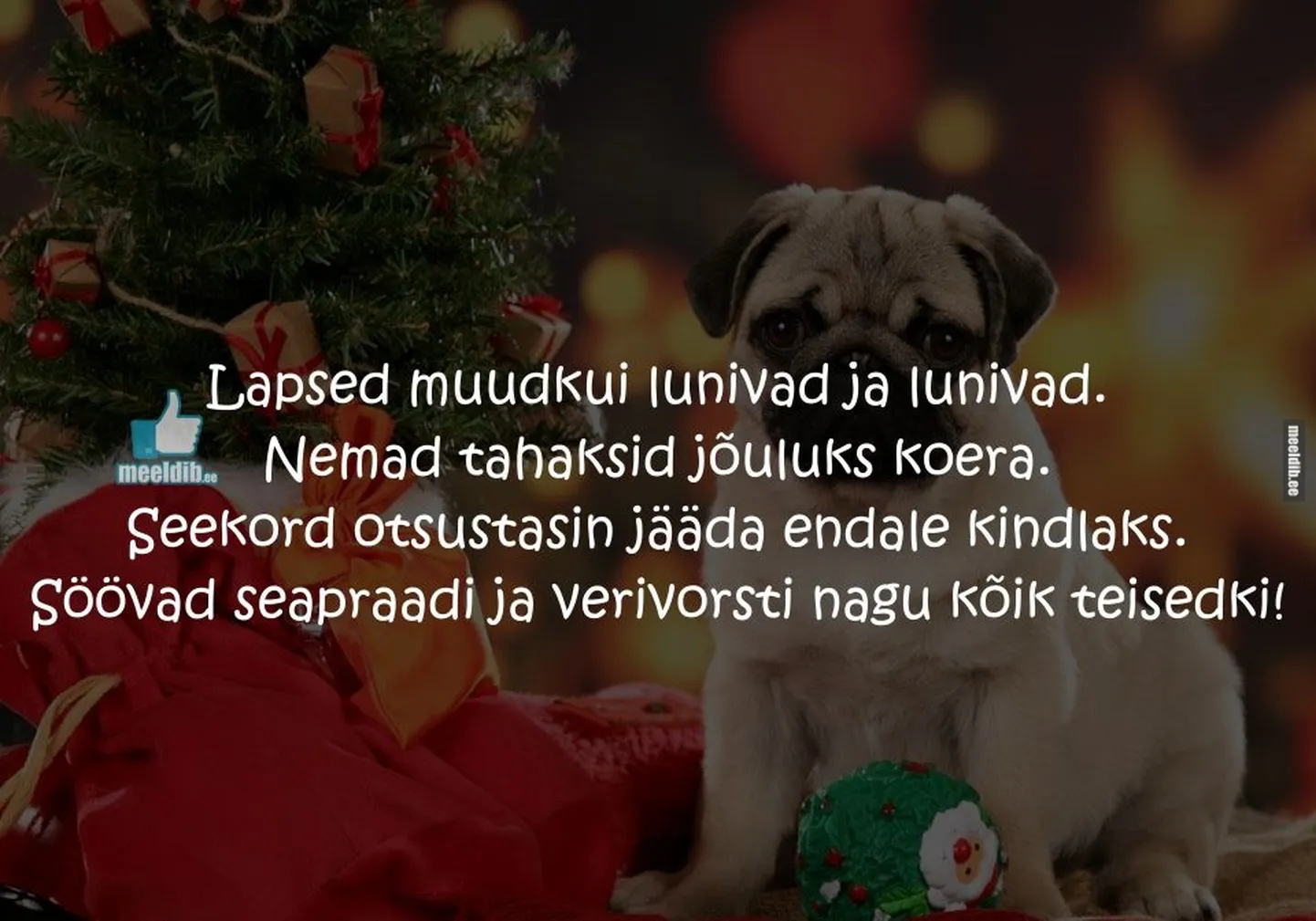 Artikli foto