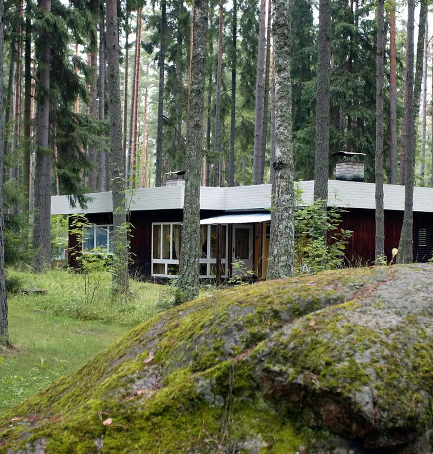 Suvilakooperatiiv Võsul