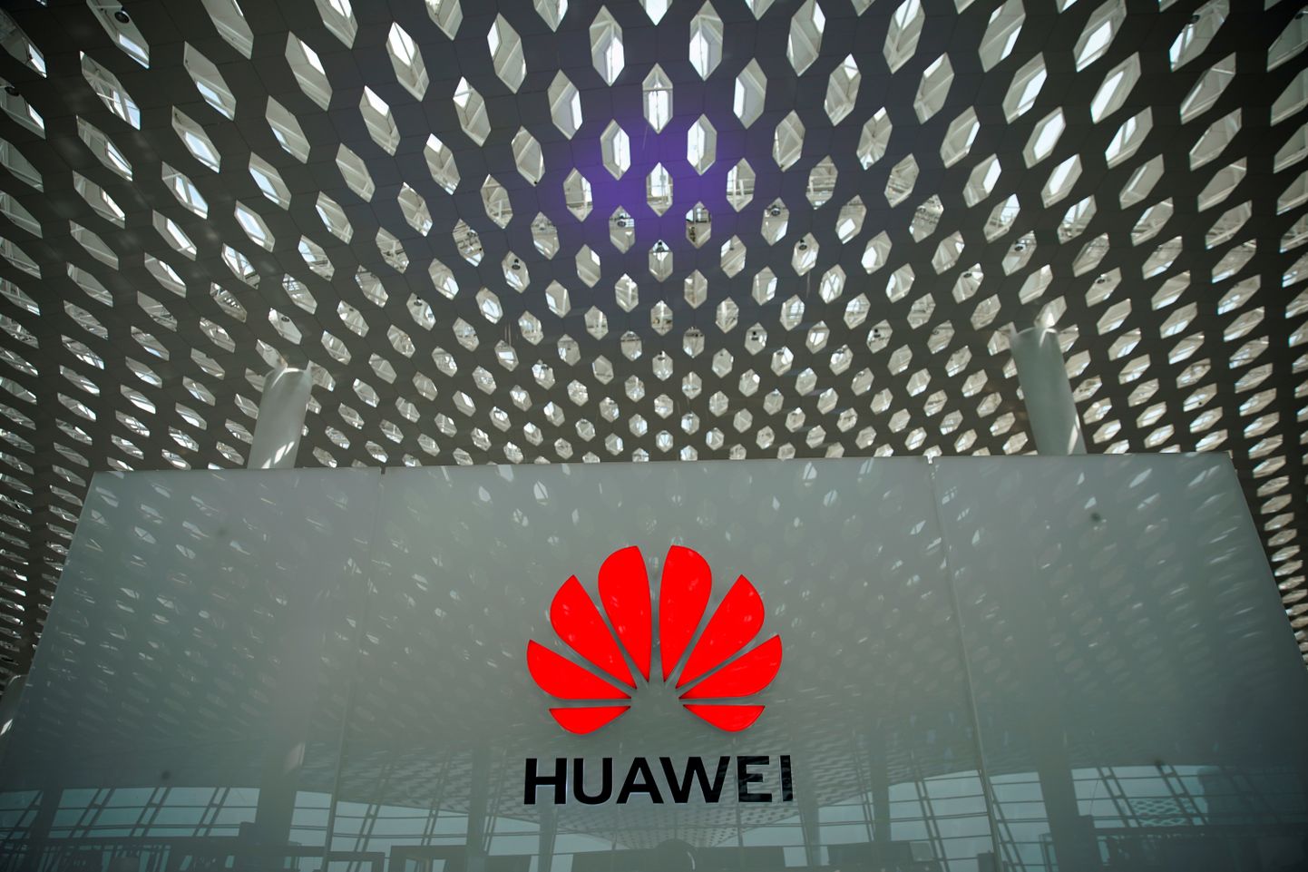 Huawei kompanii logo.