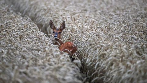 V Latviji v sredo pričakovati večinoma suho in mirno vreme