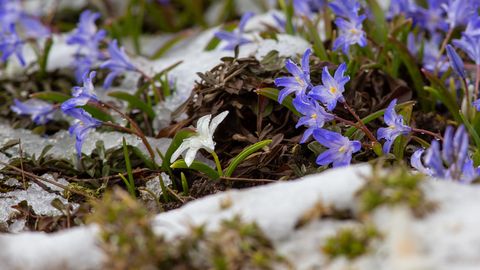 Teisipäeva öösel ootab Eestit lumesadu