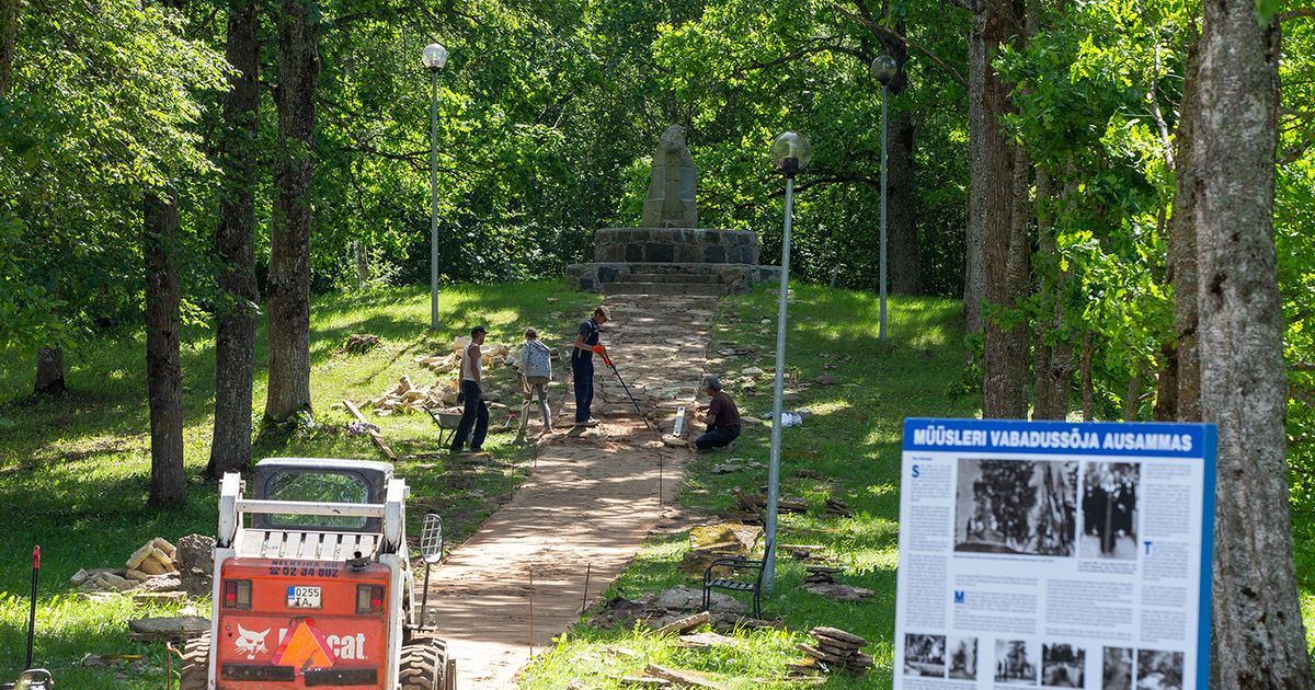 Müüsleri ausammas muutub üha esinduslikumaks