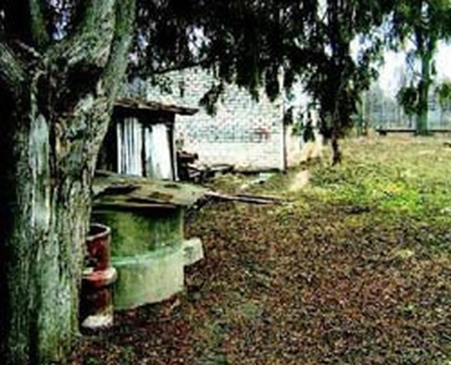 Raksta foto