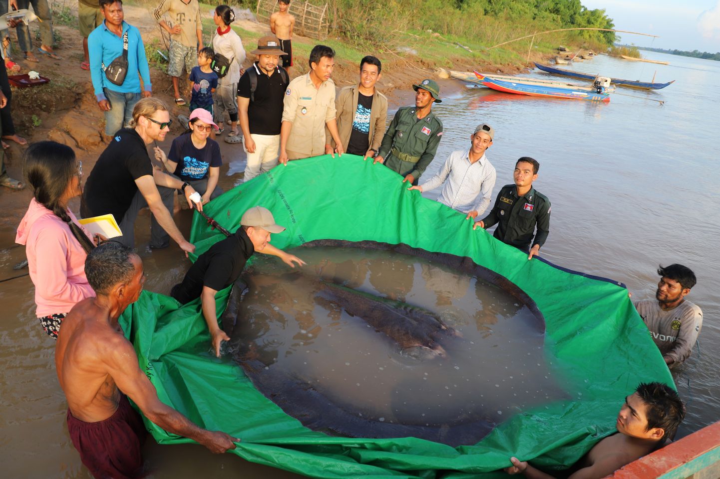 Teadlased Kambodžas Mekongi jõest püütud raiga.