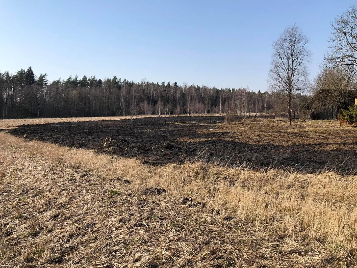 Päinurme kulupõleng