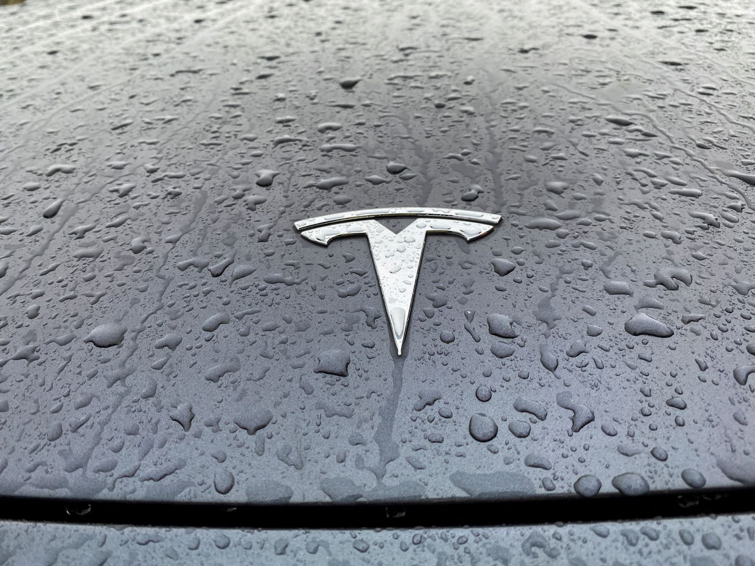 Tesla logo.