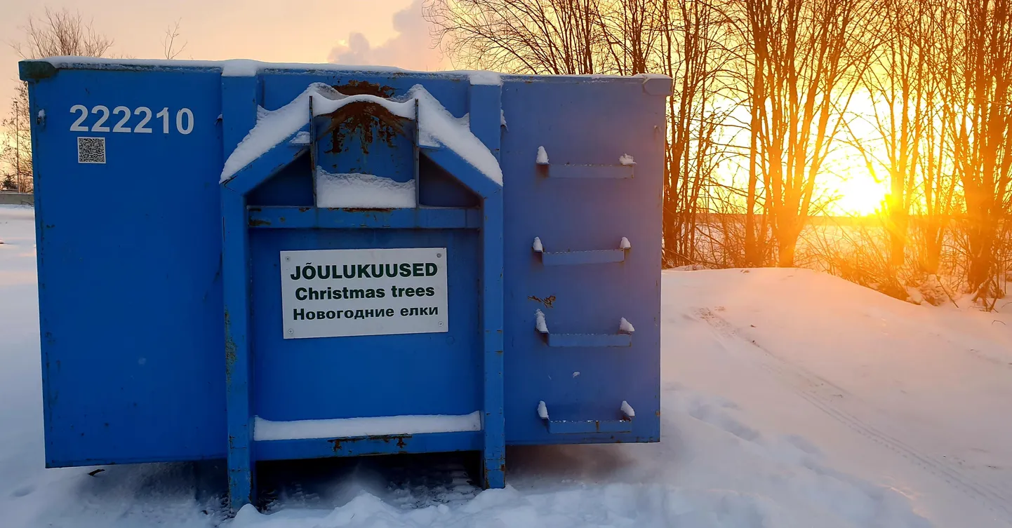 Kuuskedele mõeldud konteiner Mõisavahe tänav 75 parkimisplatsil, millest üle tee jääb tervisekeskus ja COOPi kauplus.