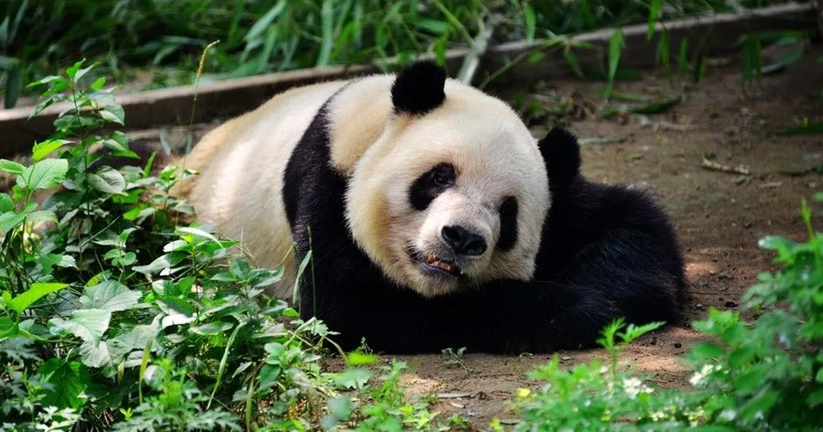 Yalangoch qizlarning ozlarini yuvayotgan fotosuratlari