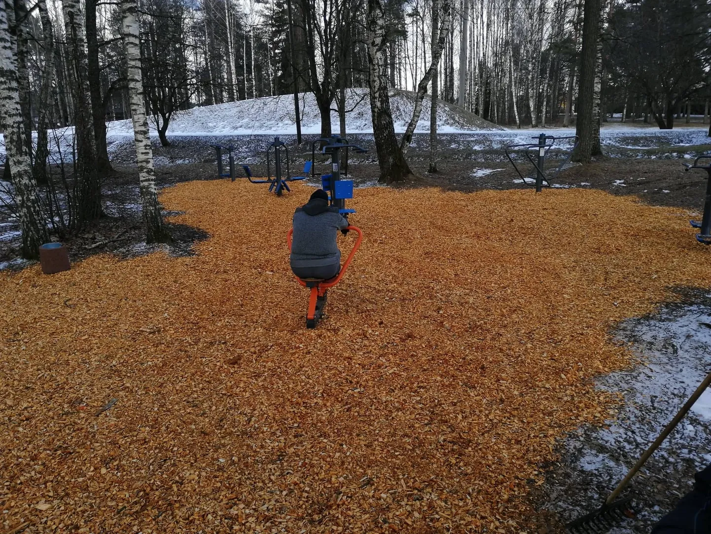 Artikli foto