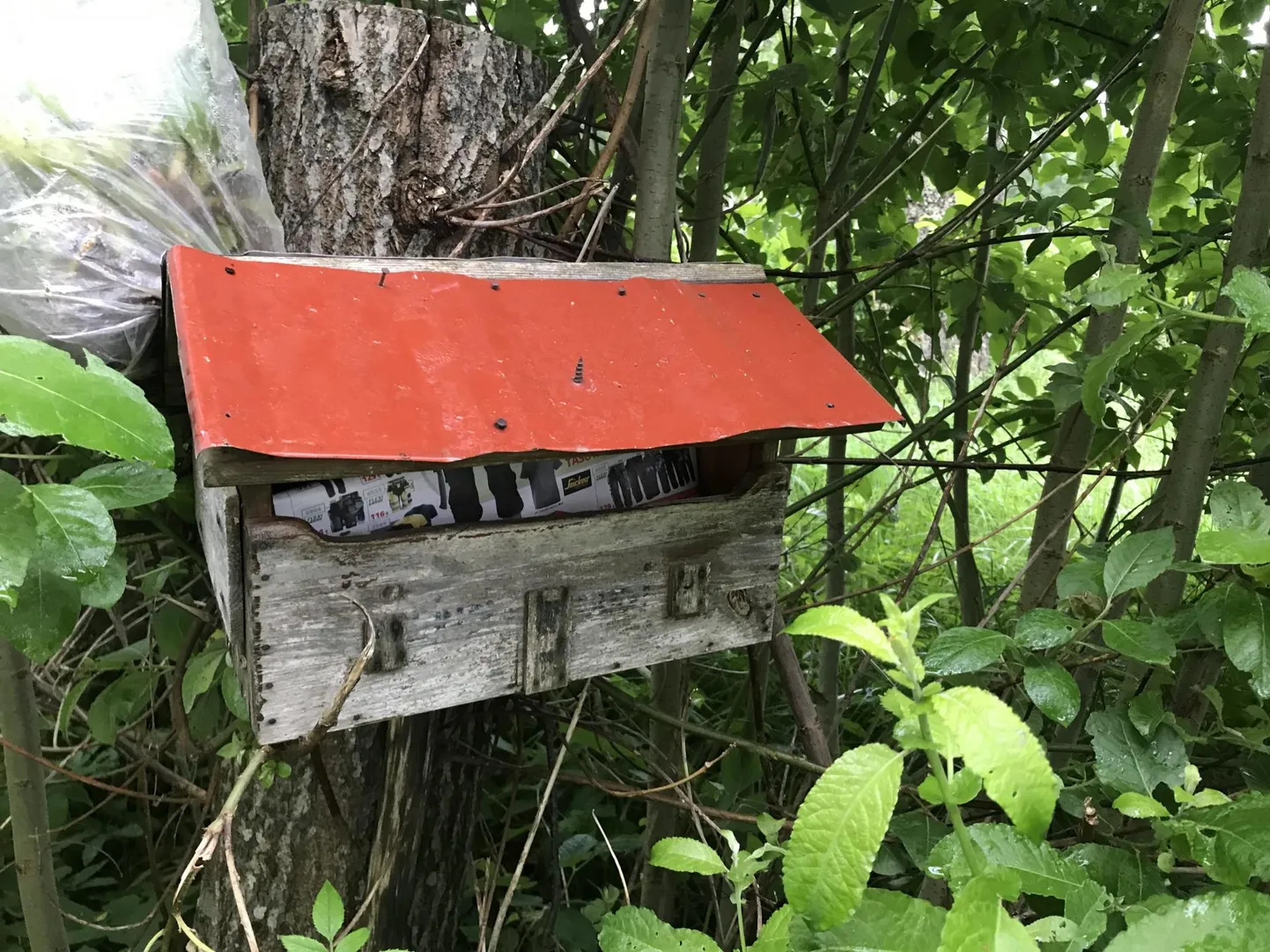 Alates esmaspäevast potsatavad inimeste postkastidesse eelolevate valimistega seotud teabelehed.