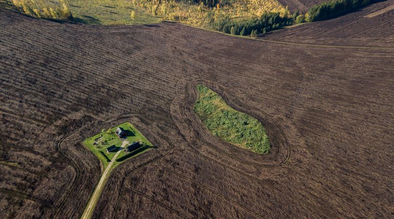 Mustav oapõld Viru-Jaagupi lähistel.