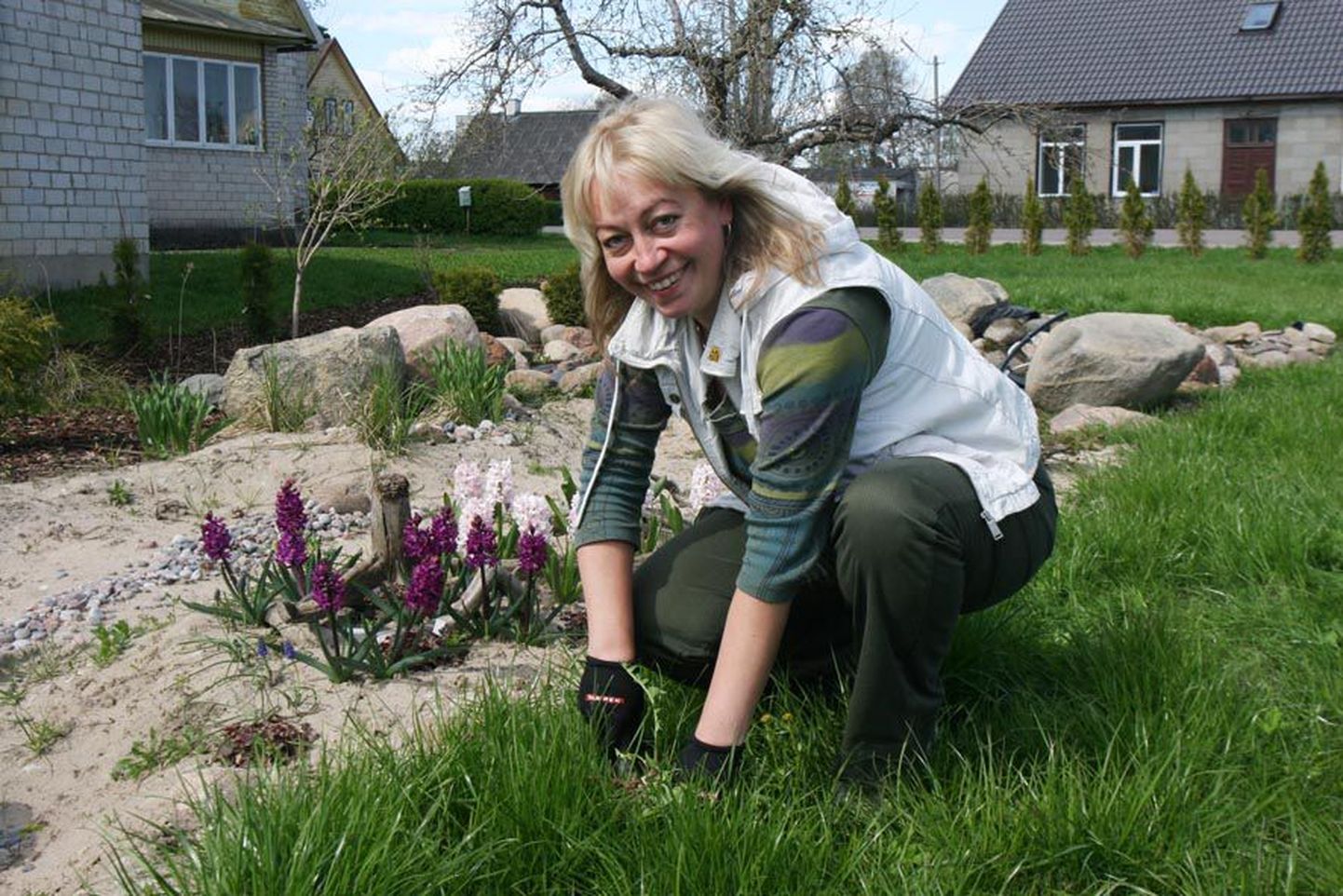 Oma koduaias püüab aiandusspetsialist Reelika Marrandi võilillest lahti saada seda välja juurides.