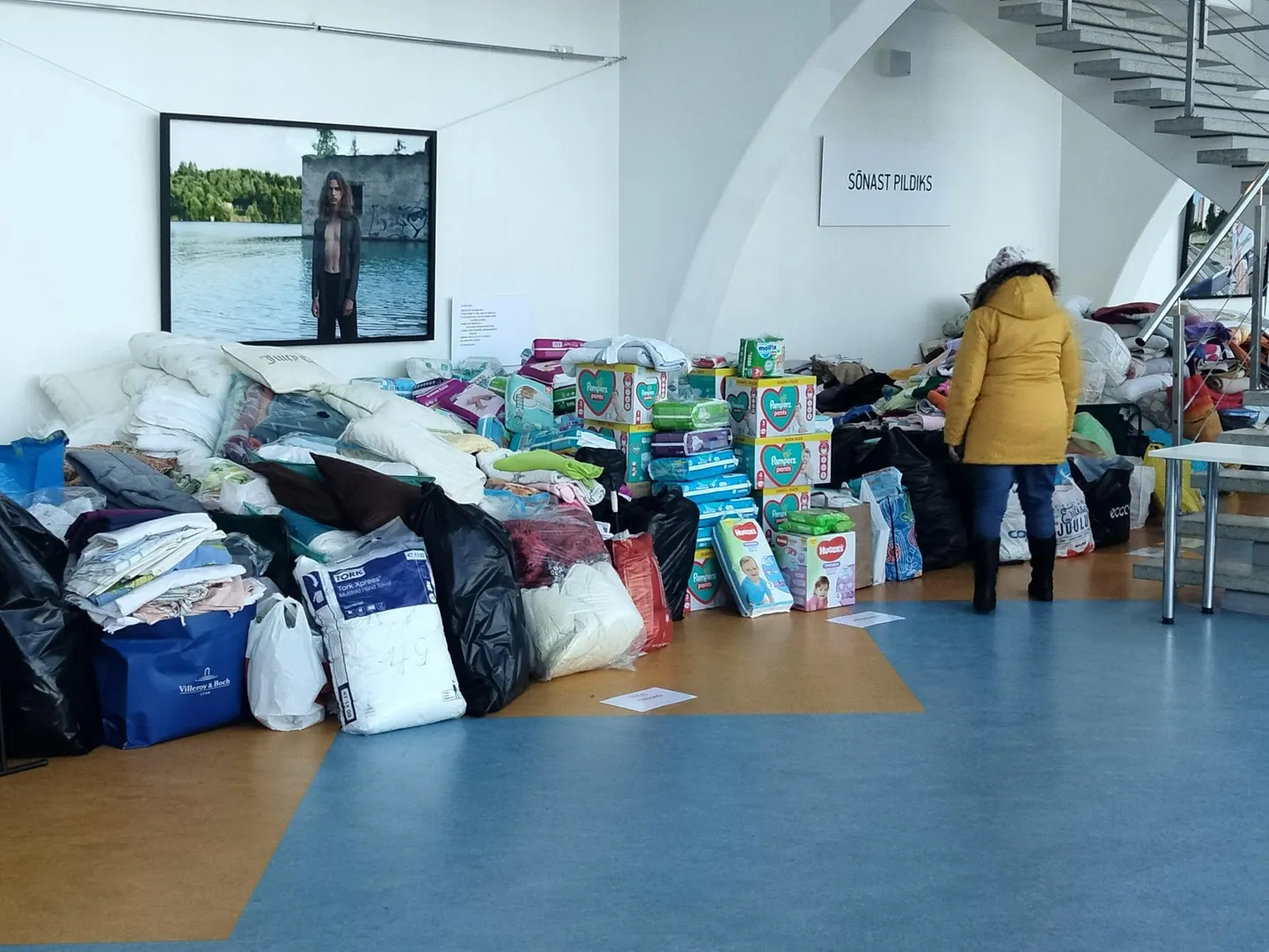 Rakvere spordikeskuses on avatud Punase Risti kogumispunkt, mis võtab vastu esmatarbevahendeid sõjale jalgu jäänud tsiviilelanike abistamiseks.