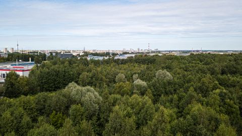 Tallinn Rejects Quarry Expansion; Businesses Fear Dust and Damage