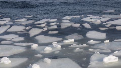 С субботы запрещено выходить на лед Теплого и Псковского озер