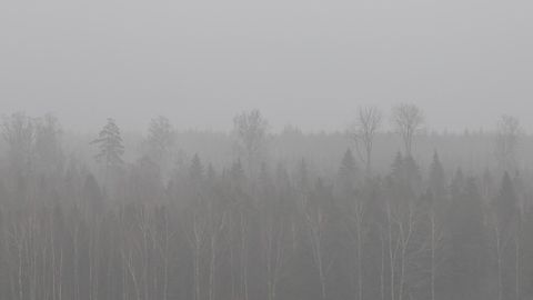 В пятницу в Эстонии не обойдется без дождя и мокрого снега