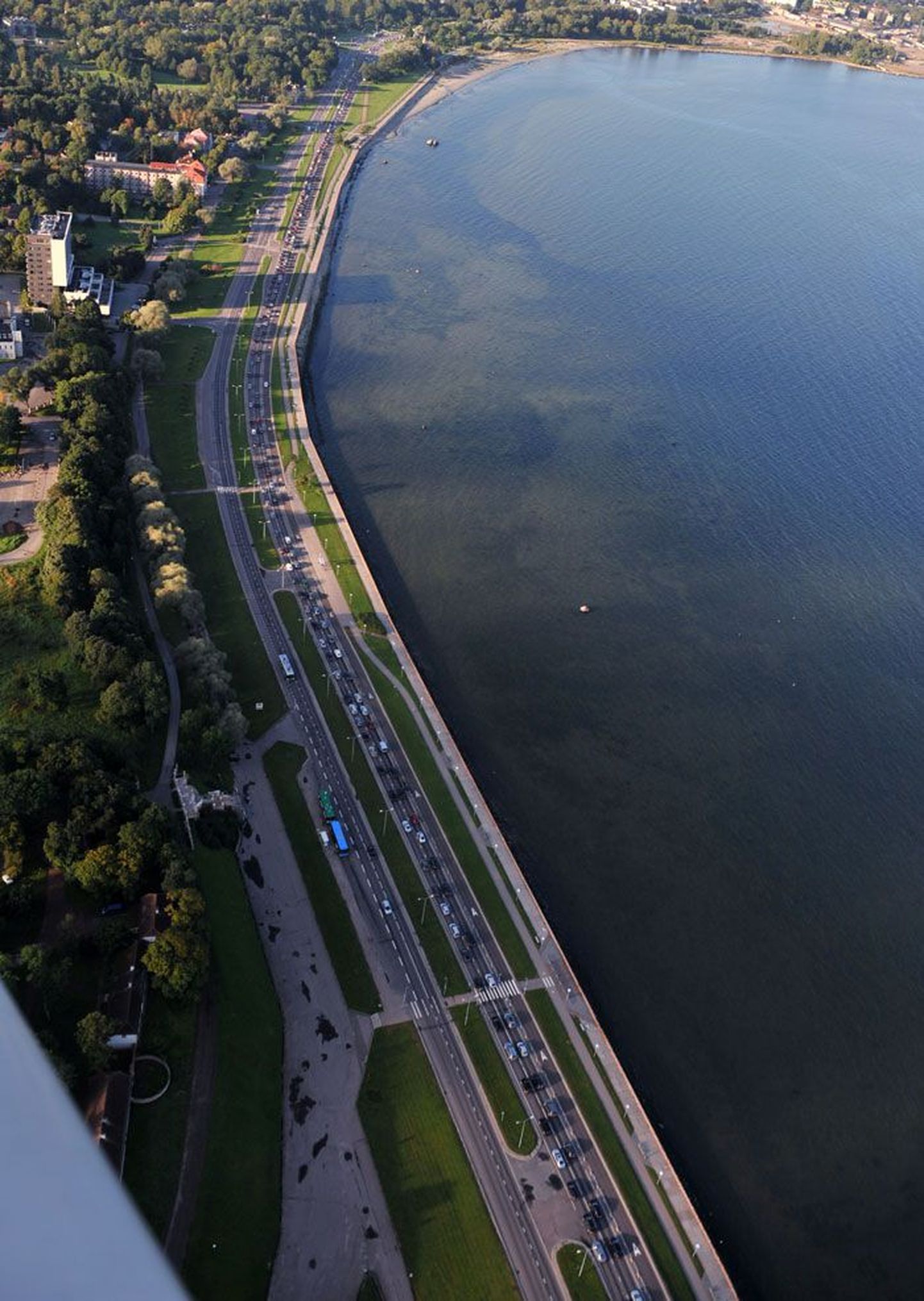 От Таллиннского залива исходит неприятный запах, который вызывают разлагающиеся водоросли.