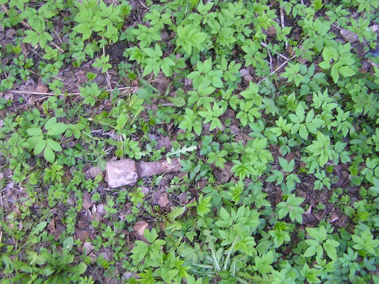 Kergus kuuri lammutamisel leitud käsigranaat.