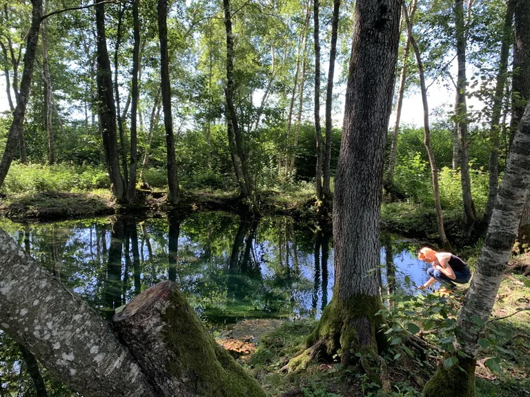 Saaremaa ilusaim allikas Pühatu on endiselt veerohke.