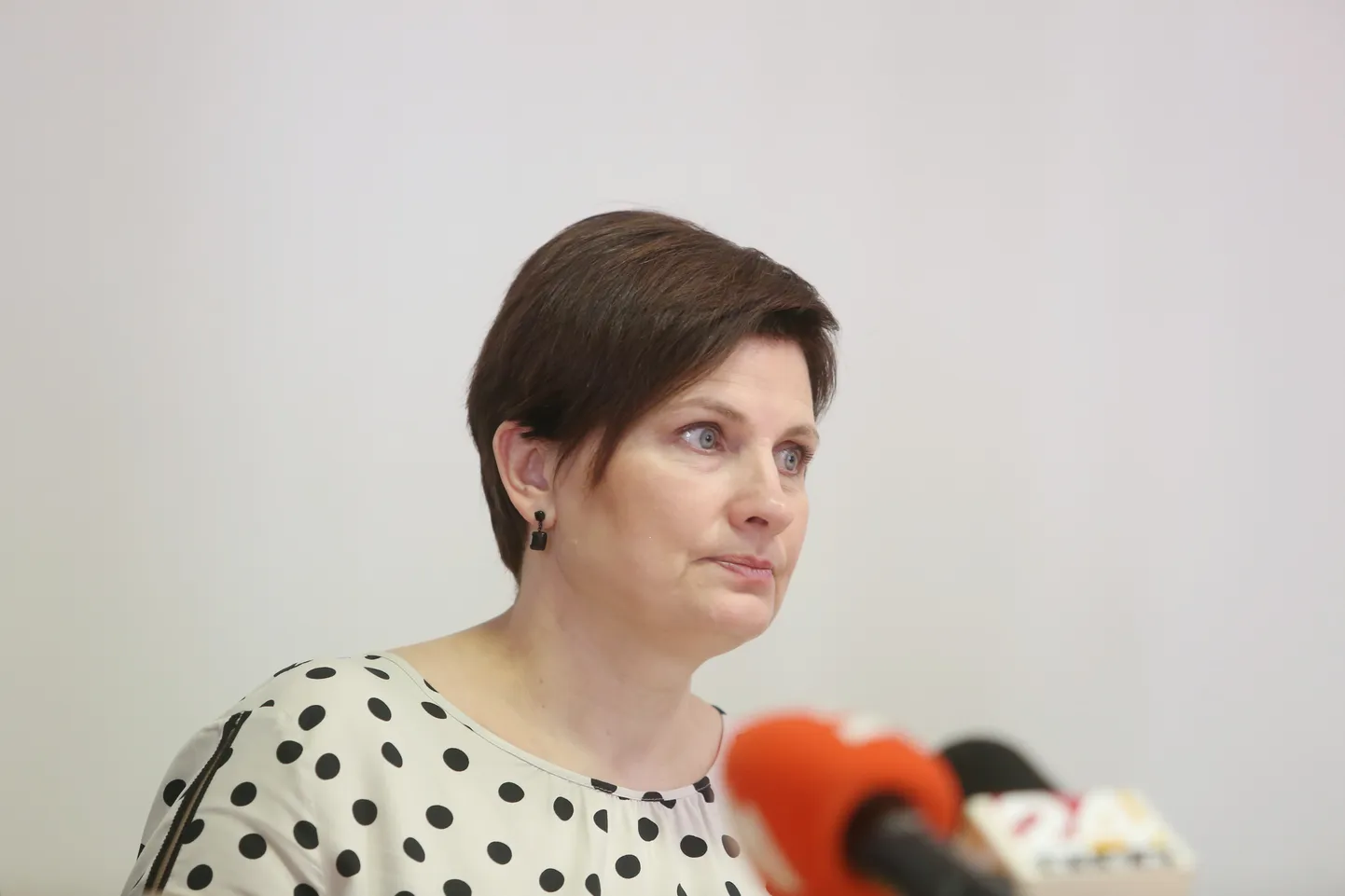Raksta foto