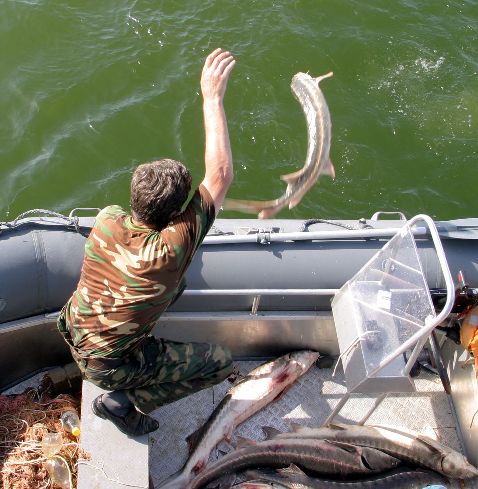 Piirivalvur laseb vette Kaspia merel röövpüüdjatelt ära võetud kalu.