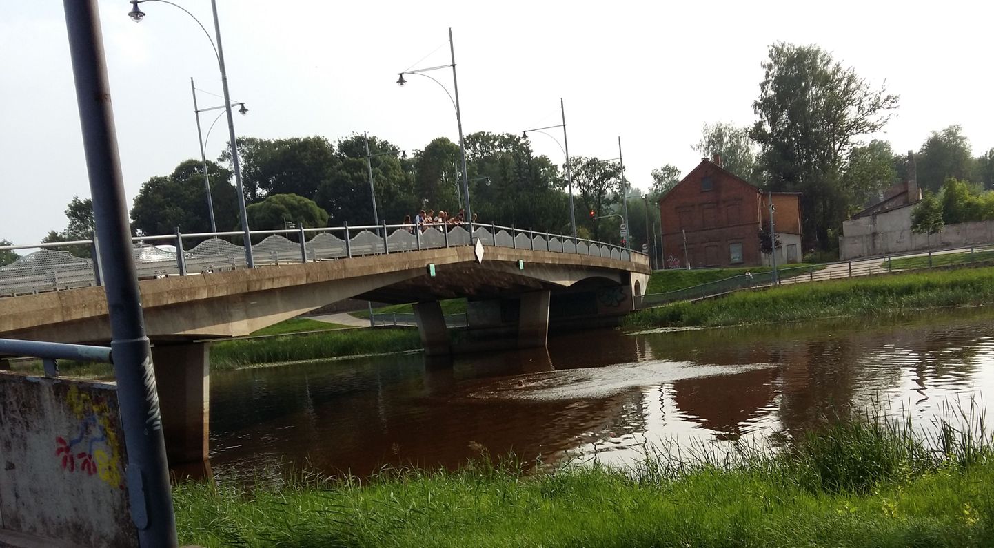 Tartu Postimehe reporter nägi eile õhtul oma silmaga, kuidas suurem seltskond eile õhtul Kroonuaia sillalt vettehüppeid harrastas.