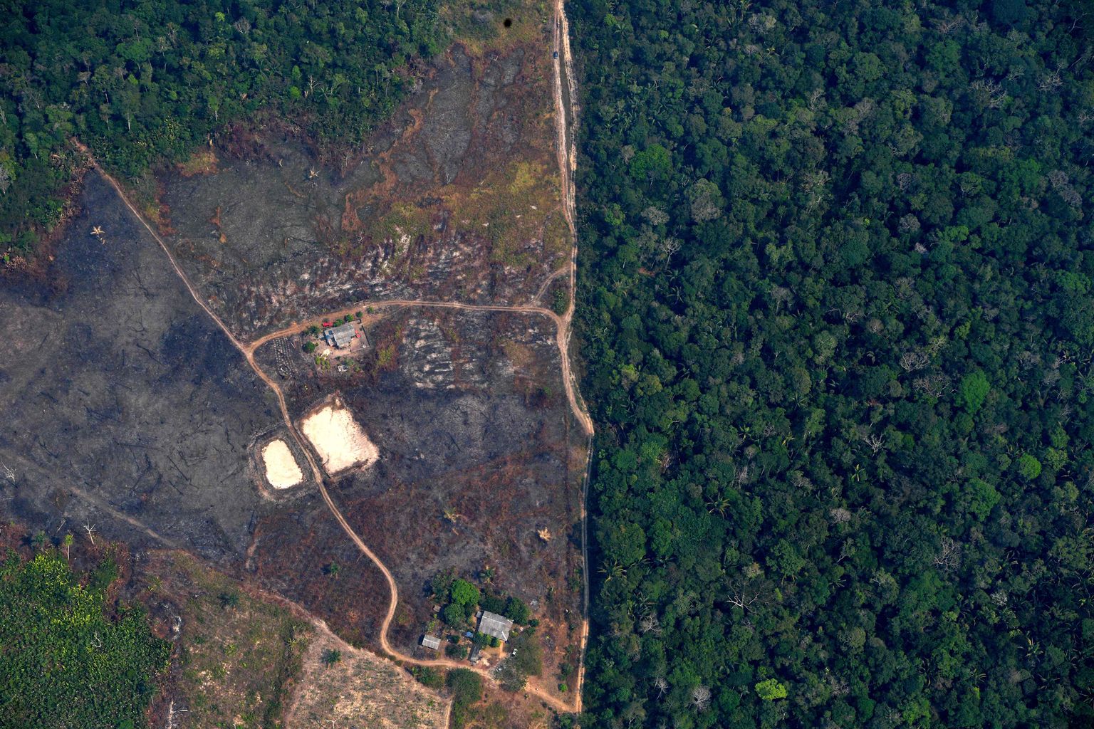 Metsatustatud ala Amazonase vihmametsas Brasiilia põhjaosas 23. augustil 2019 tehtud fotol. Inimtegevuse sekkumine hõimualadel võib endaga kaasa tuua ökoloogilise tasakaalutuse ning vallandada sügaval metsades paiknevate haiguste leviku.