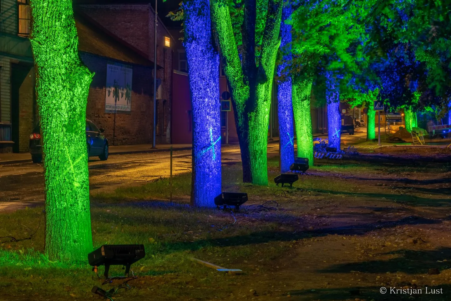 Uue tänava puudele tähelepanu tõmbamiseks korraldati ka ajutine valgusinstallatsioon.