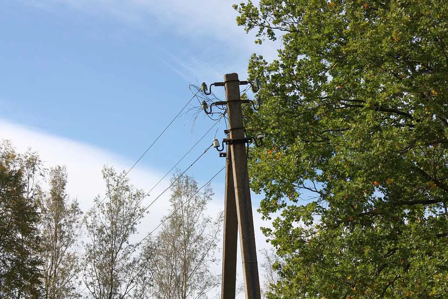 Eriti soodne on elektri hind päeval.